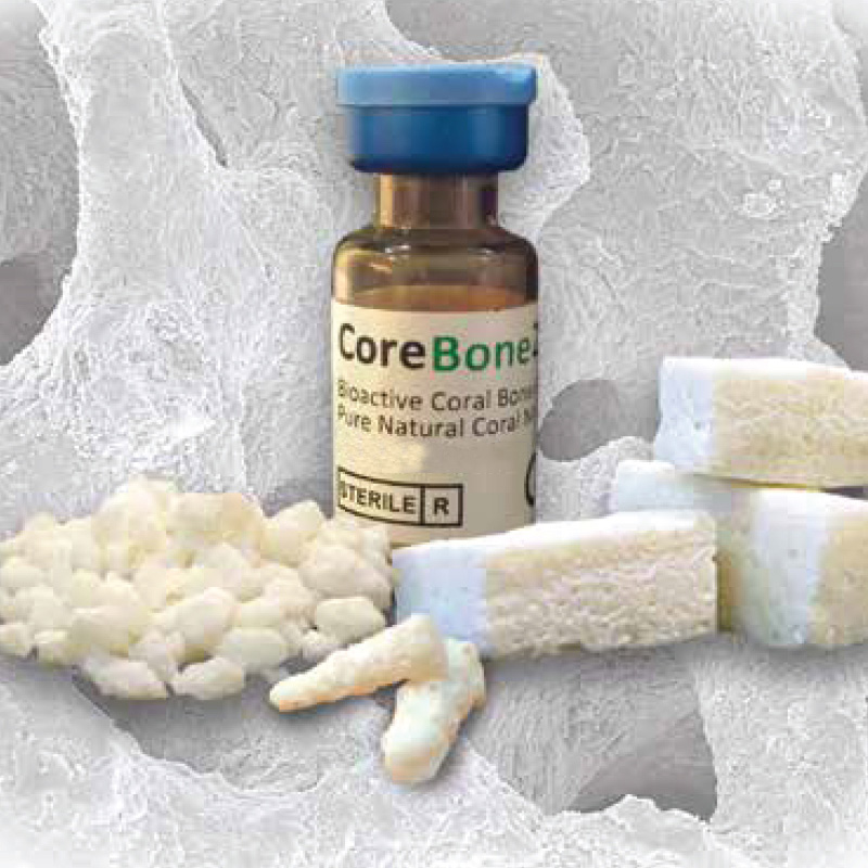 BioActive Coral implant Bone Graft